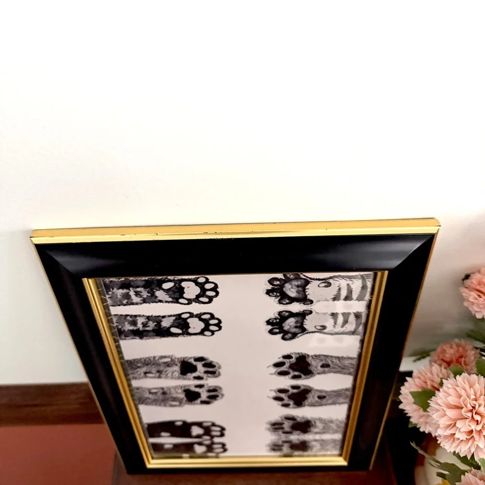 Cat Paws Kitty Feet Canvas Art Print Black & Gold Framed Wall Hanging Art Animal